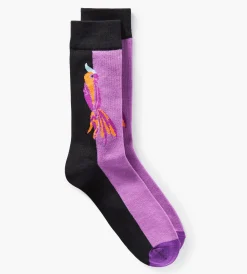 Tip Top Socks|Socks*Parrot Socks Blue