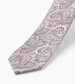 Bellissimo Ties*Tonal Paisley Tie Black
